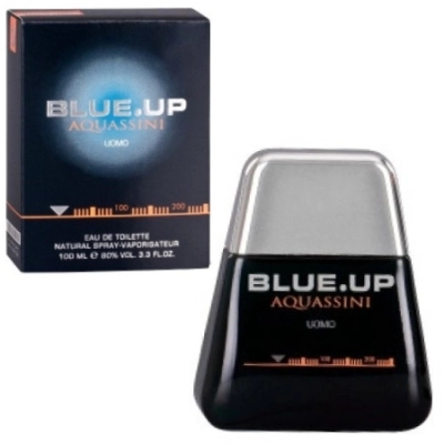 Blue Up Aquassini Uomo - woda toaletowa 100 ml
