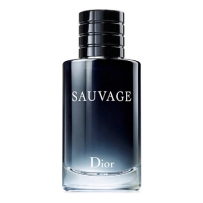 Q. Dior Sauvage 2015 - woda toaletowa 100 ml